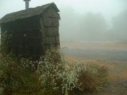 Lost shed.